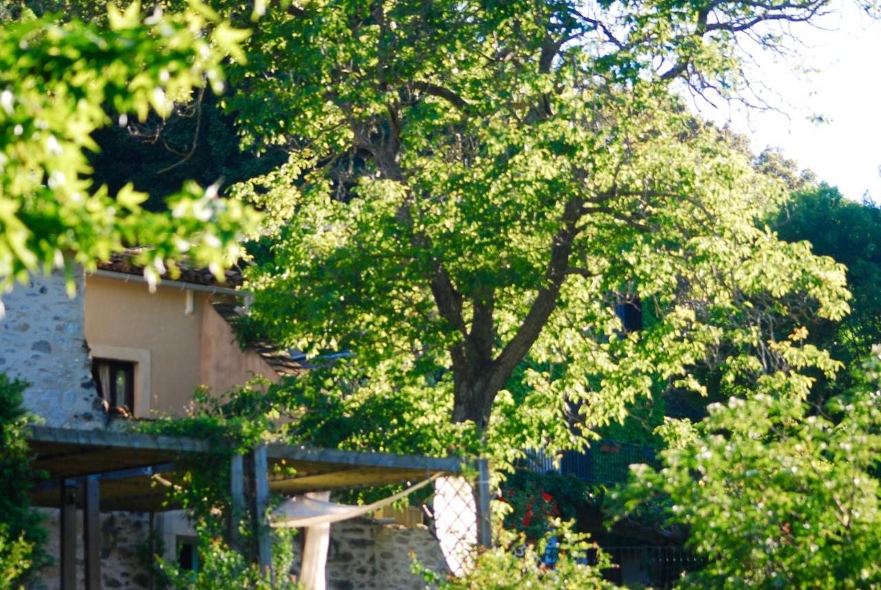 Le Moulin D'Arcas. Bed & Breakfast Premian Exterior photo